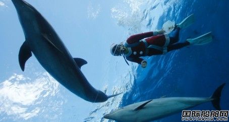 Dolphin集團獲2份3D地震勘探合同