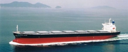 金海洋集團合并后首季報虧