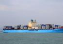 Maersk Brooklin̖l(f)әC  