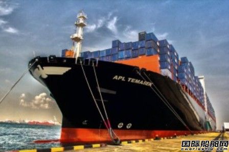 “APL Temasek”號集裝箱船撞上起重機  