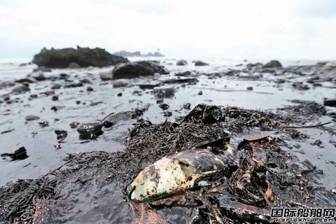 “德翔臺(tái)北”輪船體斷裂重油溢出