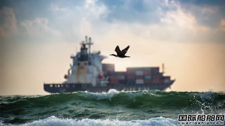 暴漲到血洗,航運"妖股"引爆美國股市