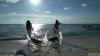@ҹ˾Ĉ(zh)пñʾ˂?c)͸ͧϿԿڽ?jng)^ʲô