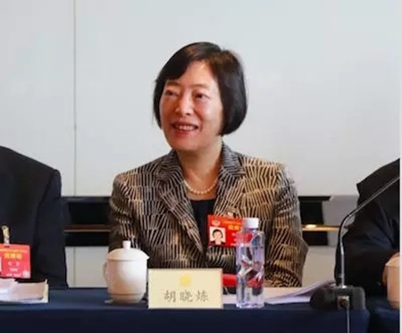 胡曉煉：放開市場競爭促進船舶工業高質量發展