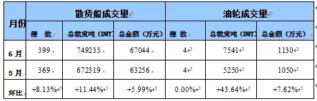 國內船舶交易市場月度報告（2019.06）