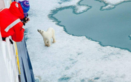 IMO秘書長討論北極航運(yùn)安全問題