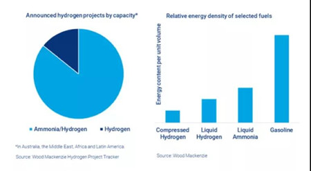 氨為什么取代氫成為主角？