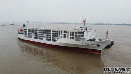 中船澄西交付第三艘改裝牲畜船“伊莎貝斯”輪