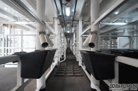 中船澄西交付第三艘改裝牲畜船“伊莎貝斯”輪