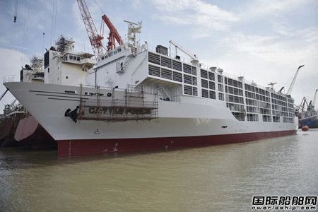 中船澄西交付第三艘改裝牲畜船“伊莎貝斯”輪