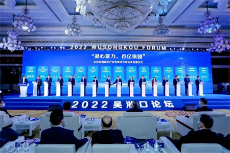 中國船舶集團獲國內首筆郵輪產業百億融資