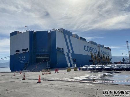 完成土耳其處女航!“中遠騰飛”輪順利完成土耳其卸貨任務