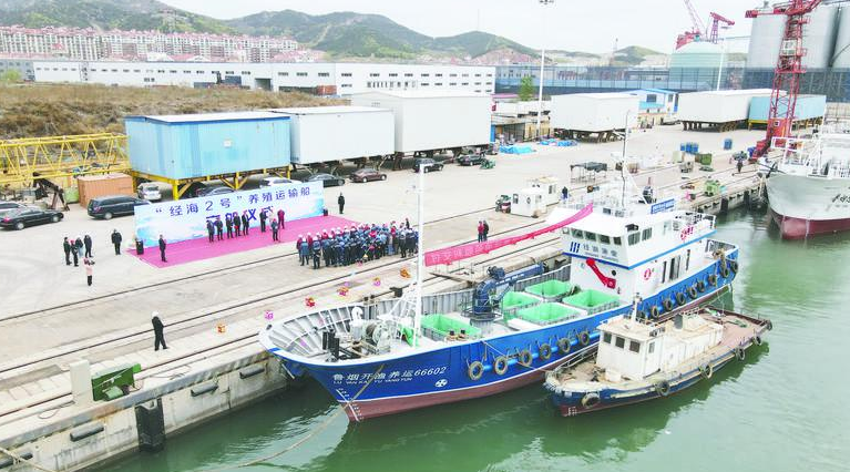 北方造船交付煙臺首艘自建活魚養殖運輸船“經海2號”