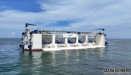 國內首臺自主研發兆瓦級漂浮式波浪能發電裝置“南鯤”號投入試運