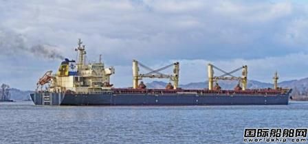 海航科技擴大船隊2022年購入7艘散貨船