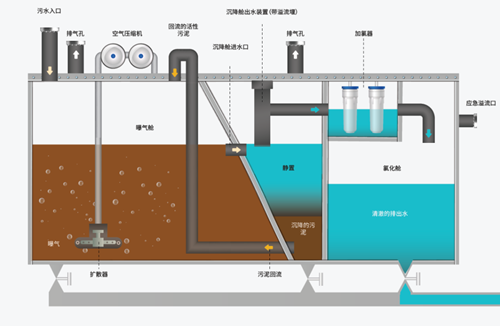 威爾森GAMAZYME益生菌清潔劑,實現更有效的污水處理