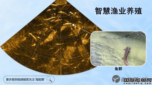 ��������(gu��)�a(ch��n)������ǰҕ�{���°l(f��)��