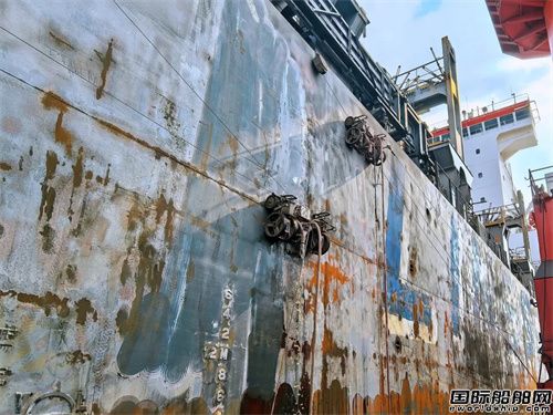 V|h\عAMɡ紺݆Ϳb΄(w)