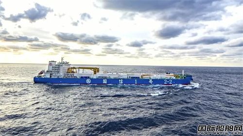 全球首次!“國信1號2-2”首艙大西洋鮭魚苗入艙